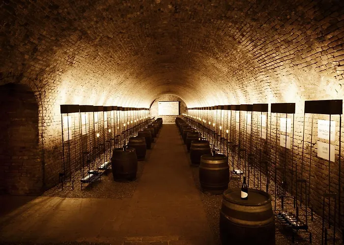 Bed & Breakfast Alter Winzerkeller Kirchberg am Wagram